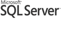 Microsoft SQL Server