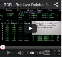 Retrieve Deleted Records with RDR